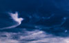 © Pavel Rumlena - stock.adobe.com